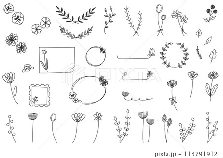 手描きの線画のおしゃれなフラワーセット 手描きの線画のおしゃれなフラワーセット 113791912