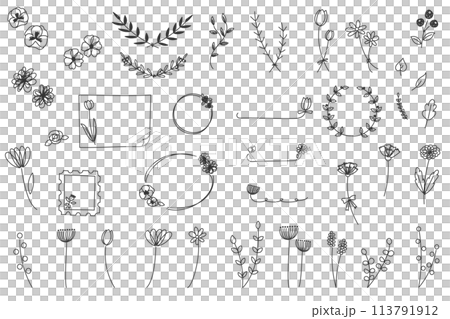手描きの線画のおしゃれなフラワーセット 手描きの線画のおしゃれなフラワーセット 113791912