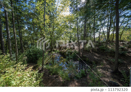 遠見山の景色 113792320