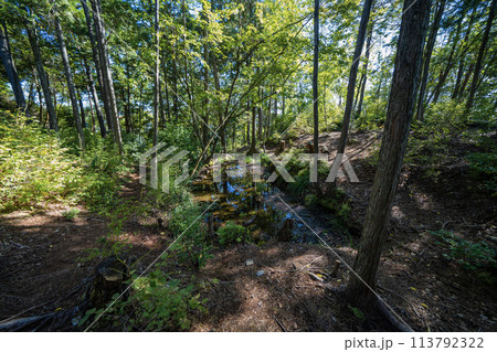 遠見山山中の下麻生城址ため池 113792322