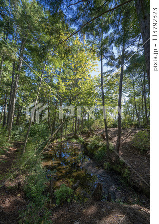 遠見山山中の下麻生城址ため池 遠見山山中の下麻生城址ため池 113792323