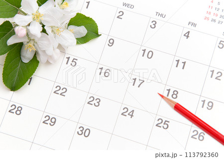 カレンダーと赤鉛筆 113792360