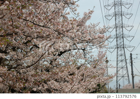 近所を歩いた 113792576