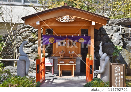 春の晴天の蛇窪神社 東京 春の晴天の蛇窪神社 東京 113792792