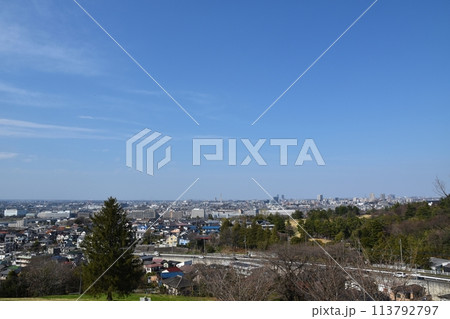 春の聖蹟桜ヶ丘のゆうひの丘からの風景　東京 113792797