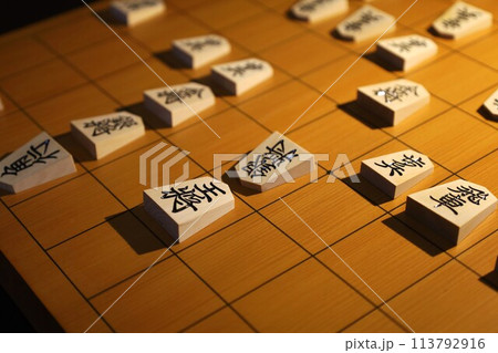 将棋（第9期叡王戦第1局投了棋譜） 113792916