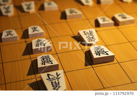 将棋の第9期叡王戦第1局の投了棋譜 将棋の第9期叡王戦第1局の投了棋譜 113792970