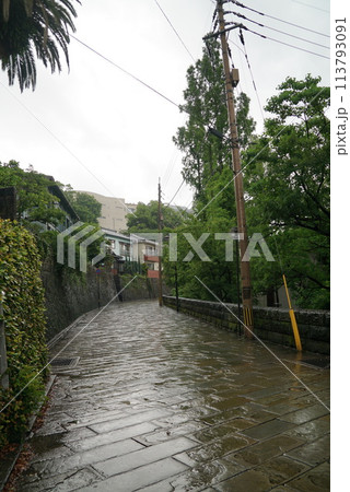雨のオランダ坂 雨のオランダ坂 113793091