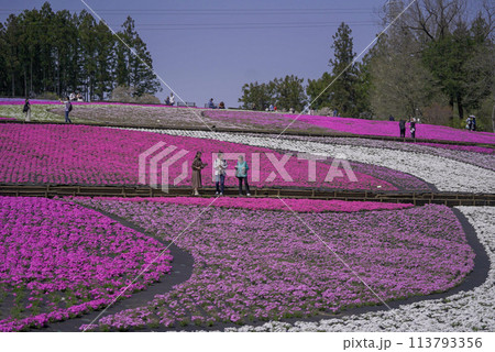 春の訪れ 春の訪れ 113793356