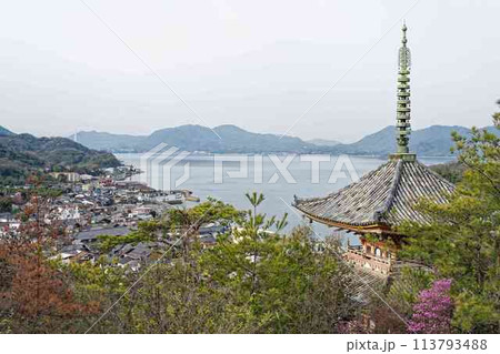 向上寺の三重塔と瀬戸内海 113793488