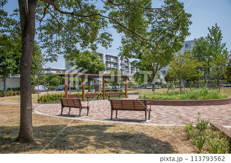 中藻公園 神奈川県横浜市金沢区並木 中藻公園 神奈川県横浜市金沢区並木 113793562