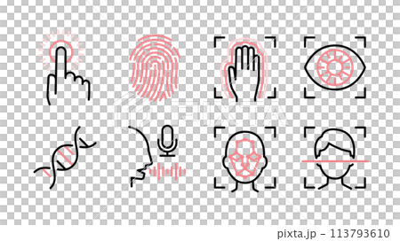 生体認証のアイコンのセット 指紋、静脈、虹彩、DNA、声、顔など 線幅可変 113793610