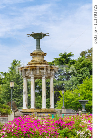 鶴舞公園の噴水塔とツツジ〈愛知県名古屋市〉 113793725