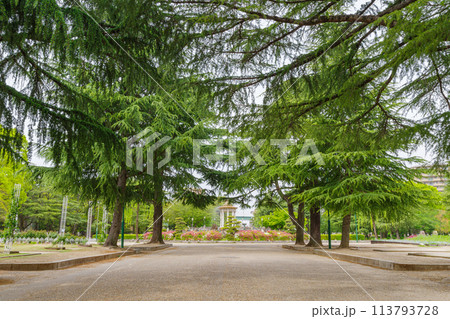 鶴舞公園の噴水塔〈愛知県名古屋市〉 113793728