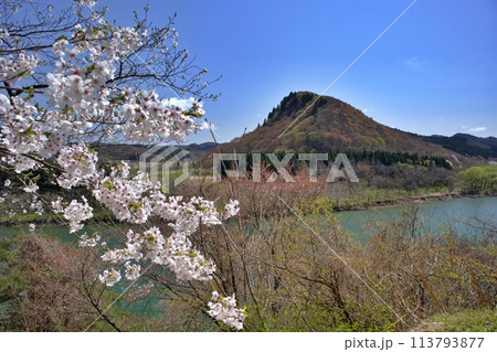 七座山と桜 七座山と桜 113793877