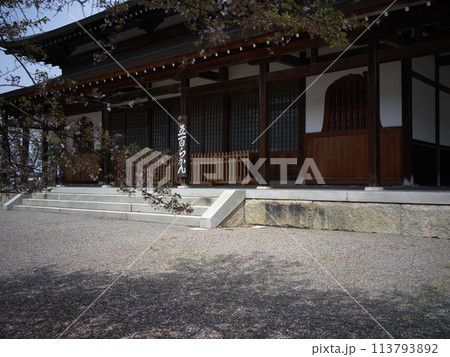 彦根天寧寺五百羅漢 彦根天寧寺五百羅漢 113793892