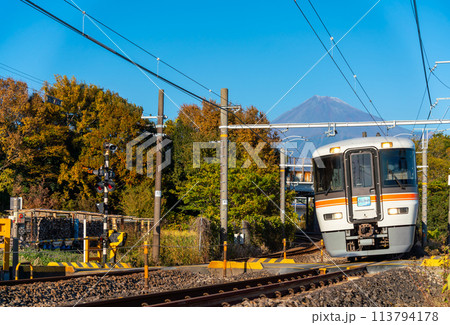 JR身延線と富士山　特急ふじかわ　373系 113794178