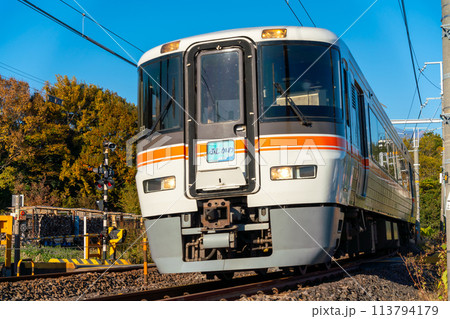 JR身延線を走る特急ふじかわ 113794179
