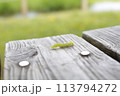 腹ペコあおむし 113794272