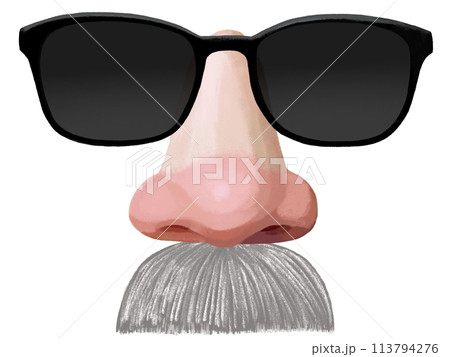 変装サングラス(白ヒゲ)レンズ部半透過 変装サングラス(白ヒゲ)レンズ部半透過 113794276