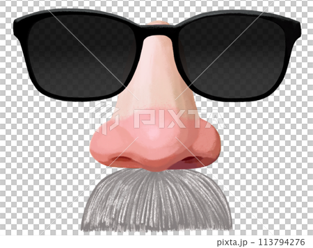 変装サングラス(白ヒゲ)レンズ部半透過 変装サングラス(白ヒゲ)レンズ部半透過 113794276