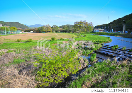 越辺川　いこいの広場　山吹大橋からの風景　　　　 113794432