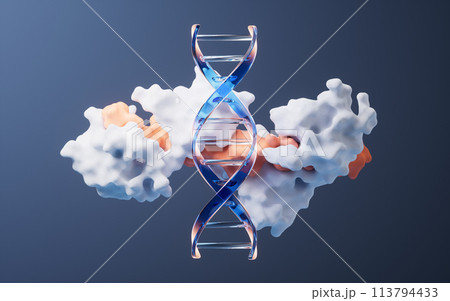 DNA and protein with biological concept, 3d rendering. DNA and protein with biological concept, 3d rendering. 113794433