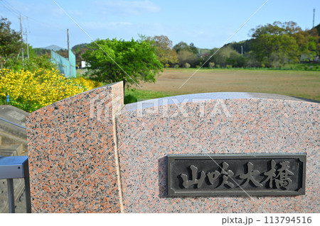 越辺川　山吹大橋　　　 113794516