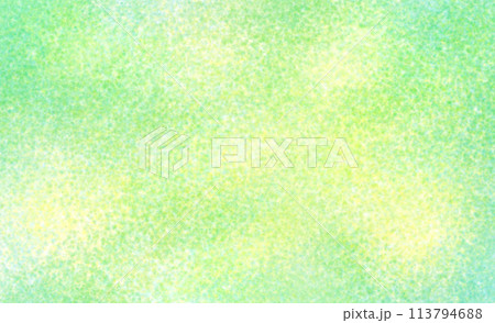 デフォーカスした森林の背景 デフォーカスした森林の背景 113794688