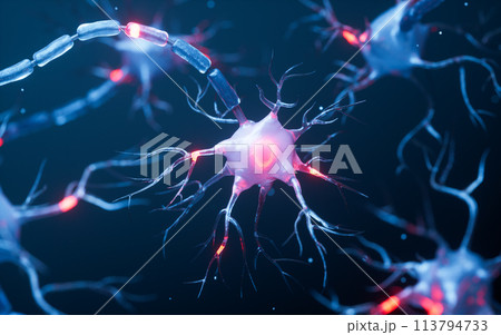 Biology nerve cell with biomedicine concept, 3d rendering. 113794733