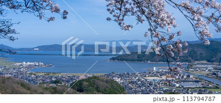 展望台から見下ろす天橋立と満開の桜のコラボ情景 展望台から見下ろす天橋立と満開の桜のコラボ情景 113794787