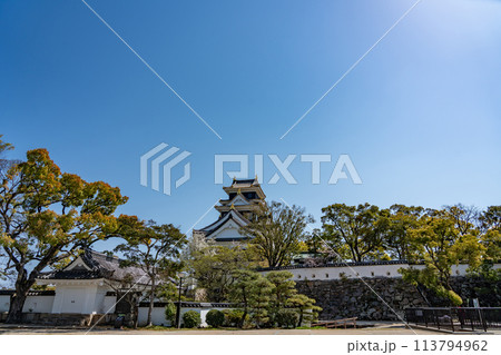 岡山県　春の岡山城の廊下門と天守閣 113794962