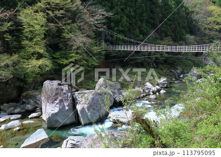 瀬戸川に架かる吊り橋　（高知県　土佐町　瀬戸川取水堰上流） 113795095