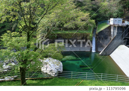 瀬戸川取水堰の景観 新緑の季節 (高知県 土佐町) 瀬戸川取水堰の景観 新緑の季節 (高知県 土佐町) 113795096