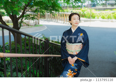 訪問着の着物を着た女性 113795110