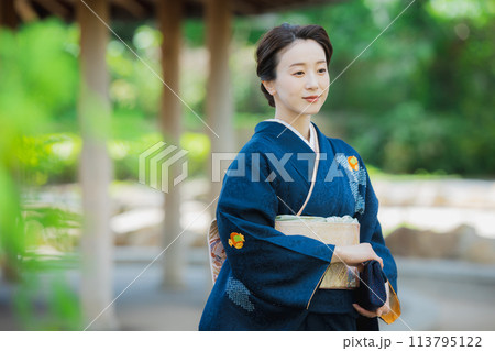 訪問着の着物を着た女性 訪問着の着物を着た女性 113795122