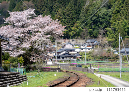 桜のある田舎の風景 113795453