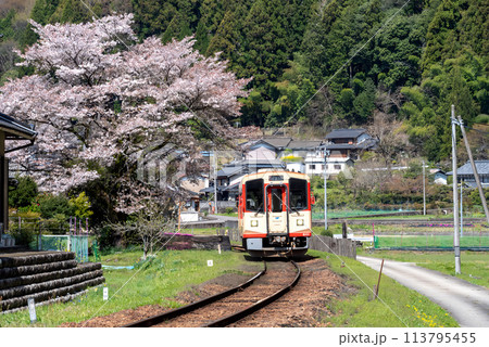 桜のある田舎の風景 113795455