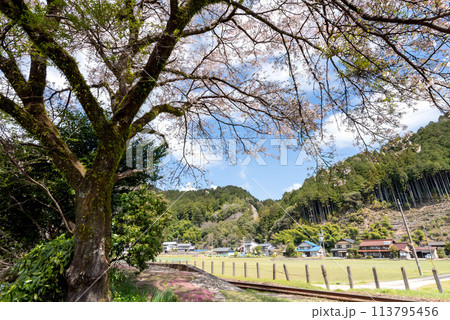 桜のある田舎の風景 113795456