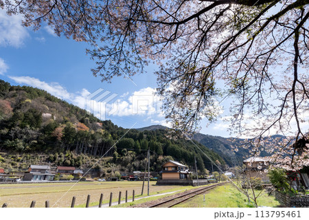 桜のある田舎の風景 113795461