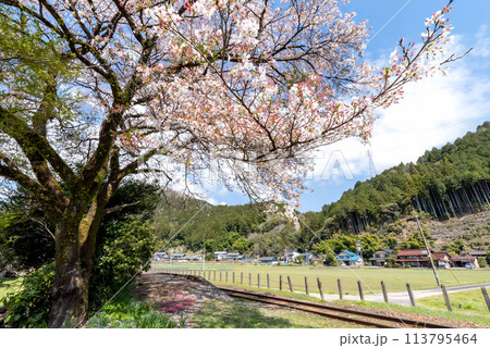 桜のある田舎の風景 桜のある田舎の風景 113795464