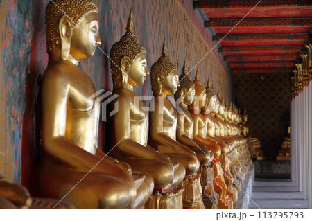 タイの首都バンコク　チャオプラヤ川岸の暁の寺とも呼ばれるワットアルンの金色の仏像の列 113795793
