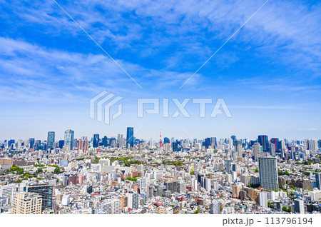 日本の首都東京の都市風景 日本の首都東京の都市風景 113796194
