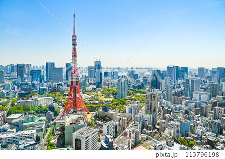 日本の首都東京の都市風景 日本の首都東京の都市風景 113796198