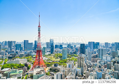 日本の首都東京の都市風景 113796206