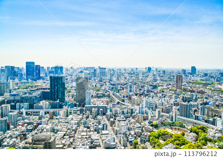 日本の首都東京の都市風景 日本の首都東京の都市風景 113796212
