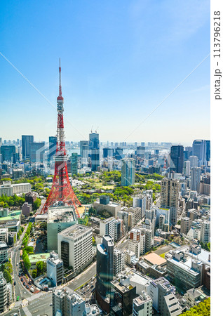 日本の首都東京の都市風景 日本の首都東京の都市風景 113796218