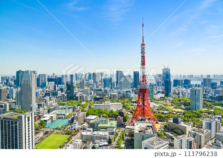 日本の首都東京の都市風景 113796238