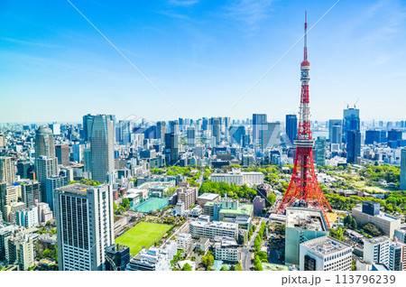 日本の首都東京の都市風景 日本の首都東京の都市風景 113796239