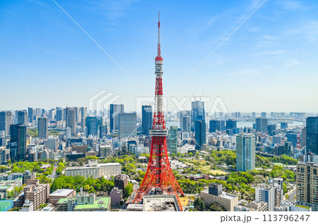 日本の首都東京の都市風景 日本の首都東京の都市風景 113796247